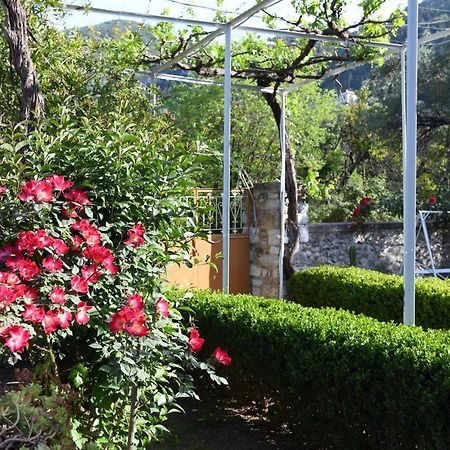 Art Flowers And Culture Містрас Екстер'єр фото